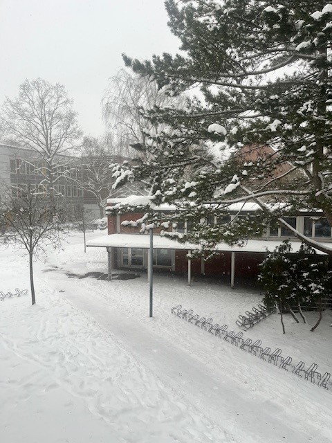 Umgang mit Winterwetter am 12.1.2026 -Stand 11.1. 17h